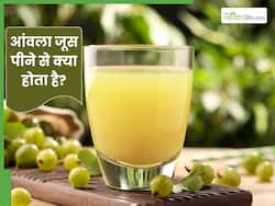 रोज आंवला जूस पीने से क्या होता है? जानें कैसे करें इसका सेवन