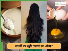 दही या अंडा? बालों पर क्या लगाना सही है?
