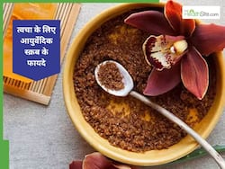 महंगे प्रोडक्ट्स छोड़िए! घर पर बनाइए ये आयुर्वेदिक स्क्रब, कुछ ही दिनों में मिलेगी चमकती त्वचा