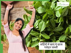 किसानों द्वारा उगाई जाने वाली ये खास पत्तियां एक साथ दूर करेगी कई बीमारियां, ठंड में मिलेगी सस्ते भाव