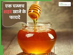 रोज सुबह खाएं एक चम्मच शहद, सेहत को मिलेंगे कई फायदे