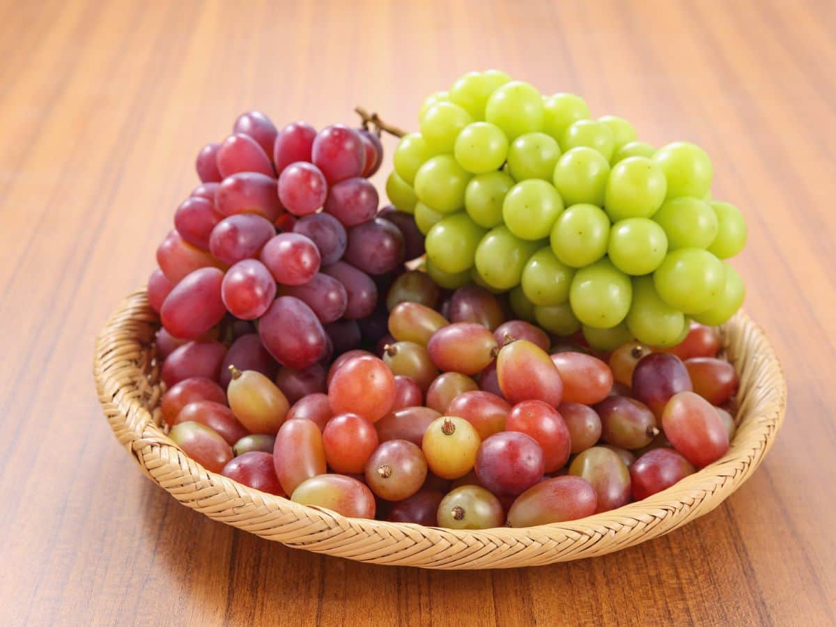 grapes