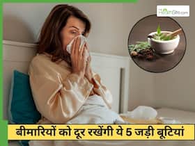 गिलोए से लेकर मोरिंगा तक, इन 5 जड़ीबूटियों से दूर रखें बीमारियां, जानें इस्तेमाल करने का सही तरीका