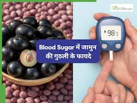 जामुन की गुठली से कम होगा Blood Sugar, आयुर्वेदिक एक्सपर्ट ने बताया ये खास नुस्खा