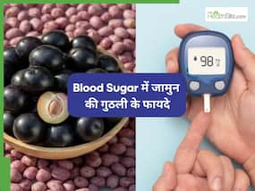 जामुन की गुठली से कम होगा Blood Sugar, आयुर्वेदिक एक्सपर्ट ने बताया ये खास नुस्खा