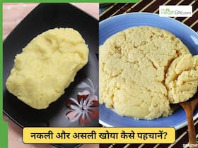 दिवाली पर असली और नकली खोया की पहचान कैसे करें?