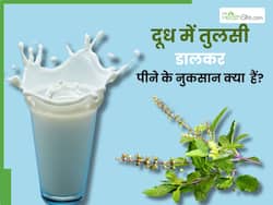 भूलकर भी न करें तुलसी और दूध का सेवन, पीते ही बढ़ जाएंगी ये 5 समस्याएं
