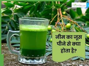 रोज सुबह नीम का जूस पीने से क्या होता है? जानें इसके 4 फायदे, जिनसे दूर होंगी कई समस्याएं