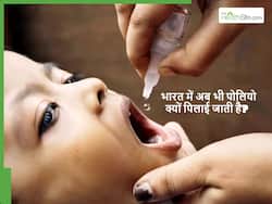 World Polio day: 2014 में पोलियो मुक्त घोषित हो गया था भारत तो अभी भी क्यों पिलाई जाती है दवा?