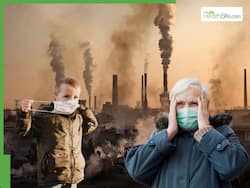 рдЗрдореНрдпреВрдирд┐рдЯреА рдХреЛ рдХрдордЬреЛрд░ рдХрд░рдХреЗ рдмреАрдорд╛рд░ рдмрдирд╛ рджреЗрддрд╛ рд╣реИ рдкреНрд░рджреВрд╖рдг, рджрд┐рд╡рд╛рд▓реА рд╕реЗ рдкрд╣рд▓реЗ рд╣реА рд░рдЦреЗрдВ рдЗрди рдмрд╛рддреЛрдВ рдХрд╛ рдзреНрдпрд╛рди