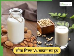 बादाम या सोया मिल्क, हमारी सेहत के लिए कौन सा दूध सबसे ज्यादा सही है?