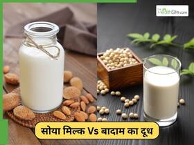 बादाम या सोया मिल्क, हमारी सेहत के लिए कौन सा दूध सबसे ज्यादा सही है? बादाम या सोया मिल्क, हमारी सेहत के लिए कौन सा दूध सबसे ज्यादा सही है?