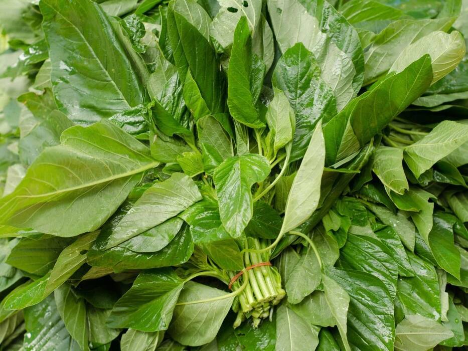 पालक से कई गुना शक्तिशाली हैं ये हरी पत्तेदार सब्जियां, हार्ट से लेकर किडनी सब रहेंगे टनाटन