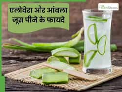 लगातार 15 दिन तक एलोवेरा-आंवला जूस पीने से क्या होता है? जानें इसके 4 फायदे
