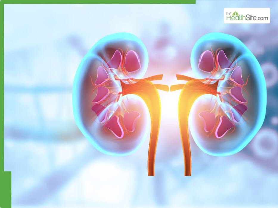 5 Everyday Medications That May Damage Kidney Function