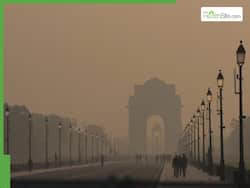 Delhi-NCR Pollution Health Warning: Hospitals Overflowing With Newborns Showing Asthma-Like Symptoms and Lung Damage at Birth