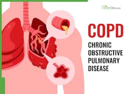 WHO Warns Of 3.5 Million COPD Deaths Worldwide: Here's How You Can Protect Your Lungs