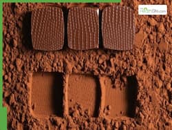 Can Cocoa, Tea Consumption Reduce Heart Damage From Prolonged Sitting? Research Explains