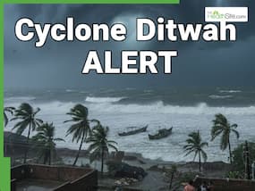 Cyclone Ditwah LIVE Update: IMD Issues Red Alert In Tamil Nadu, Andhra, Puducherry; Chennai Flights Cancelled