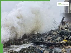 Cyclone Ditwah Alert: IndiGo Warns Passengers Of Possible Flight Delays: Safety Tips To Follow