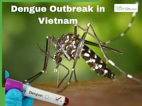 Dengue Outbreak in Vietnam: 336 Confirmed Cases in Hanoi as Heavy Rains Turn Capital into Breeding Ground