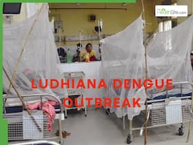 Ludhiana Dengue Outbreak: 444 Dengue Cases, Over 79% Patients Hospitalised Amid Poor Air Quality And Pollution Ludhiana Dengue Outbreak: 444 Dengue Cases, Over 79% Patients Hospitalised Amid Poor Air Quality And Pollution