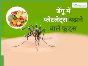 डेंगू बुखार होने पर क्या खाना चाहिए? जानें, 5 प्लेटलेट्स बढ़ाने वाले फूड्स
