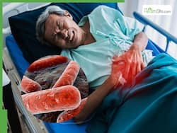 E.Coli Can Spread Faster Than Swine Flu, Scientists Find The Bacterium Can Behave More Like Airborne Virus