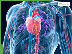 Even with 70% Blocked Arteries, You Can Still Not feel a Thing: Expert Reveals 5 Hidden Warning Signs