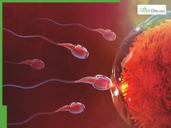Fertility Health Resolution 2026: Essential Check-Ups Every Modern Couple Must Take