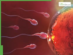 Fertility Health Resolution 2026: Essential Check-Ups Every Modern Couple Must Take