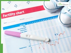 5 Countries With The World   s Lowest Fertility Rates In Females