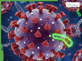 World AIDS Day 2025: India Reports Sharp Fall In HIV With Infections Down 49 Percent And Deaths Reduced By 81 Percent