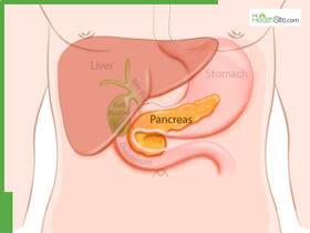 World Pancreatic Cancer Day 2025: 5 Daily Habits That Could Secretly Harm Your Pancreas