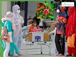 Infectious Diseases Surge In India: 1 In 9 Tests Positive Of Dengue, Influenza A, Reports ICMR