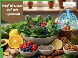 Anti-Smog Superfoods : जहरीली हवा का असर कम करने के लिए खाएं ये 10 फूड, फेफड़ें भी होंगे मजबूत