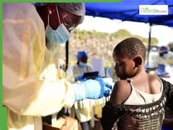 Marburg Virus Outbreak In Ethiopia: 3 Dead, 17 Infected With Ebola Cousin