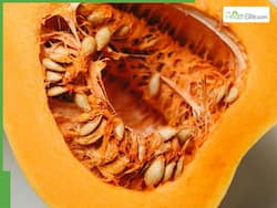 Lower Cholesterol Naturally By Adding Pumpkin Seeds To Your Diet