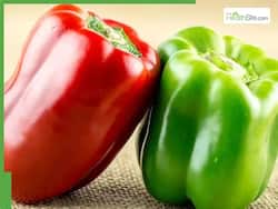 Red Capsicum vs Green Capsicum: Which Works Better For Blood Sugar Control And Weight Management?