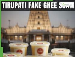 Tirupati Ghee Scam: 68 Lakh Kg Of Fake Ghee Supplied To TTD, CBI Probe Reveals Alarming Details