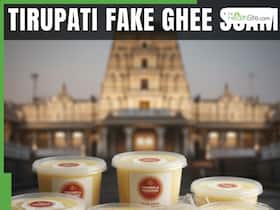 Tirupati Ghee Scam: 68 Lakh Kg Of Fake Ghee Supplied To TTD, CBI Probe Reveals Alarming Details Tirupati Ghee Scam: 68 Lakh Kg Of Fake Ghee Supplied To TTD, CBI Probe Reveals Alarming Details