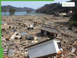 Tsunami Warning Issued for Iwate After Powerful 6.7-Magnitude Earthquake