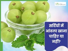 सर्दियों में आंवला खाना चाहिए या नहीं? जानें एक्सपर्ट से