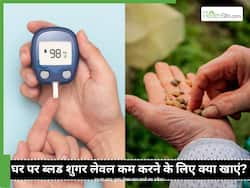 क्या घर पर ब्लड शुगर कंट्रोल किया जा सकता है? डायबिटीज के मरीजों के लिए दवा का काम करती हैं किचन में मौजूद ये 5 चीजें