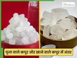 'खाने वाला कपूर' और 'पूजन कपूर' में क्या अंतर है? जानिए दोनों की पहचान और सही इस्तेमाल
