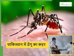 पाकिस्तान में डेंगू से मौतें रिकॉर्ड पर, जानिए किन शहरों-गांवों में हैं इमरजेंसी के हालात