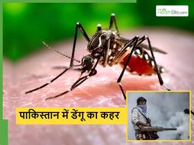 पाकिस्तान में डेंगू से मौतें रिकॉर्ड पर, जानिए किन शहरों-गांवों में हैं इमरजेंसी के हालात