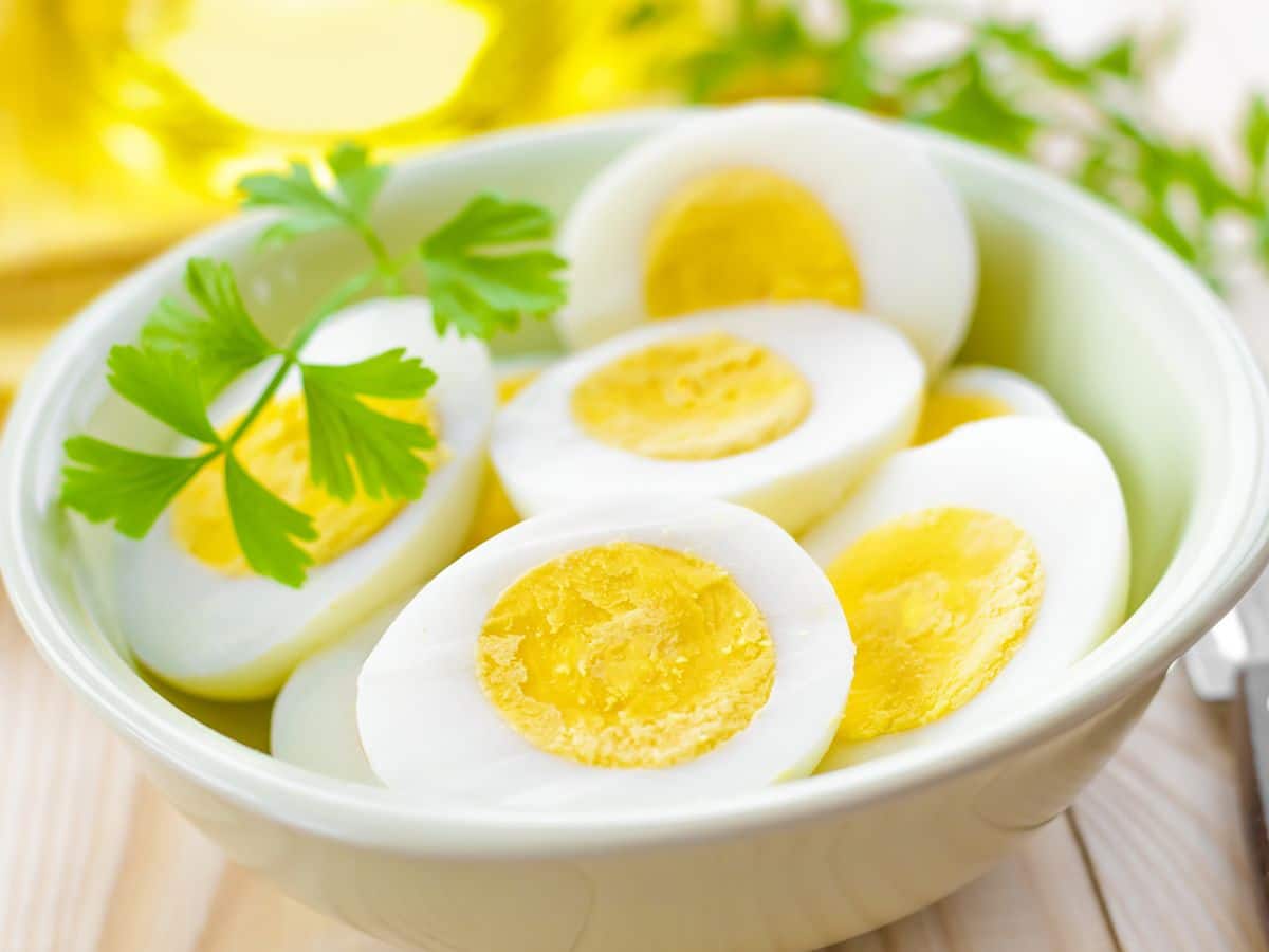 eggs for hair fall