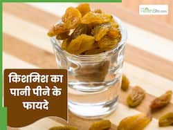 सर्दियों में किशमिश का पानी पीने के फायदे क्या हैं? जानें एक्सपर्ट से