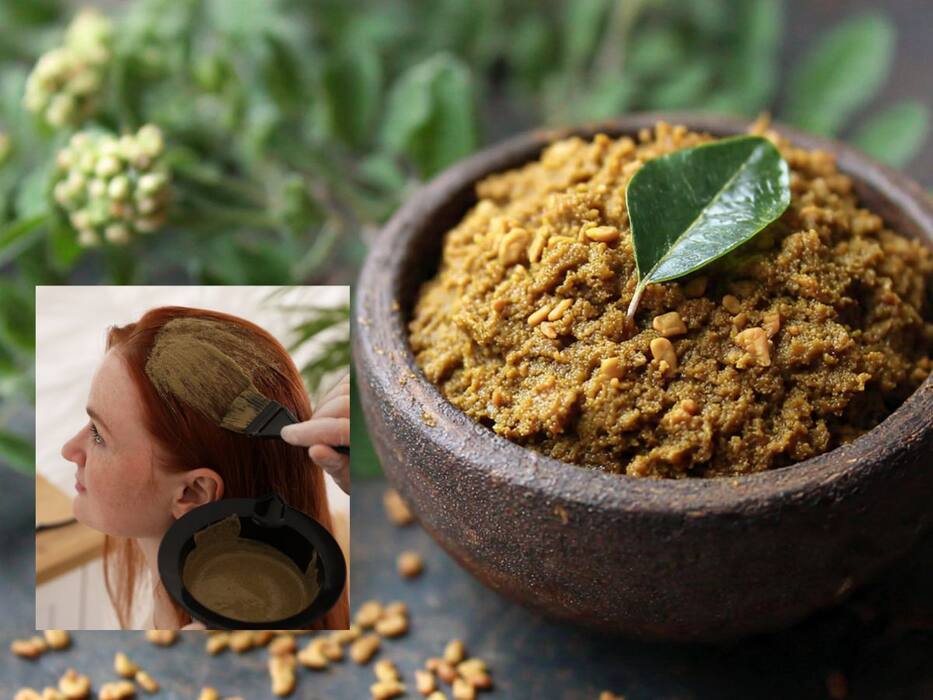 बालों की लंबाई क्या लगाने से बढ़ेगी? इन 5 चीजों का इस्तेमाल करना है बहुत फायदेमंद